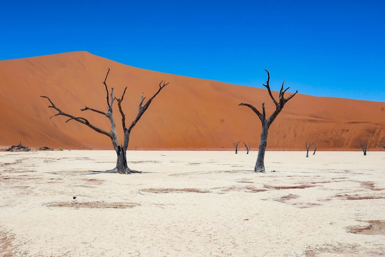 Sossusvlei @ martin-gasiorek-unsplash.webp