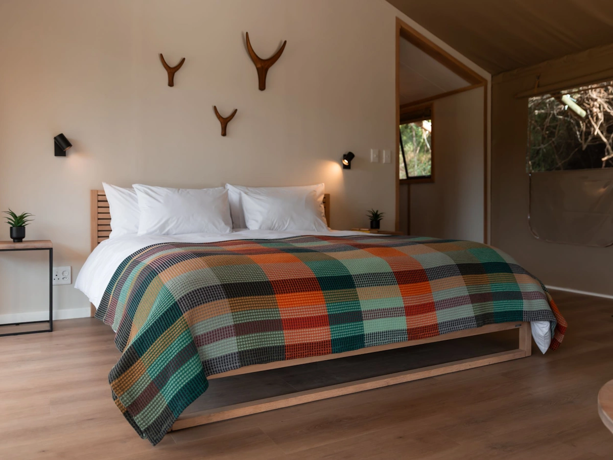 AfriCamps Premium tent 004.webp