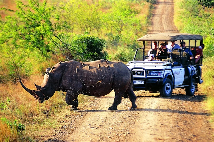 Hluhluwe River Lodge safari 001.webp