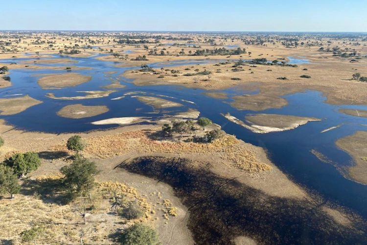 Swamp Stop delta.webp