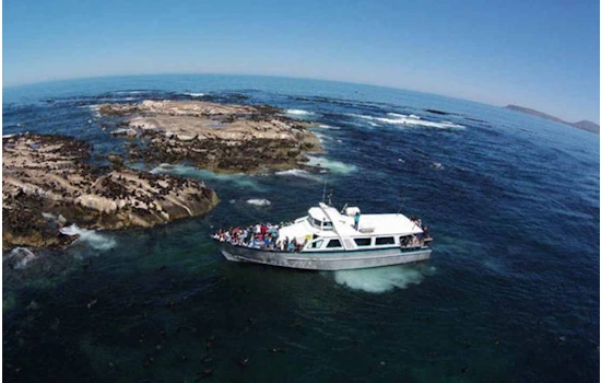 Seal Island & Sentinel Mountain Cruise.webp