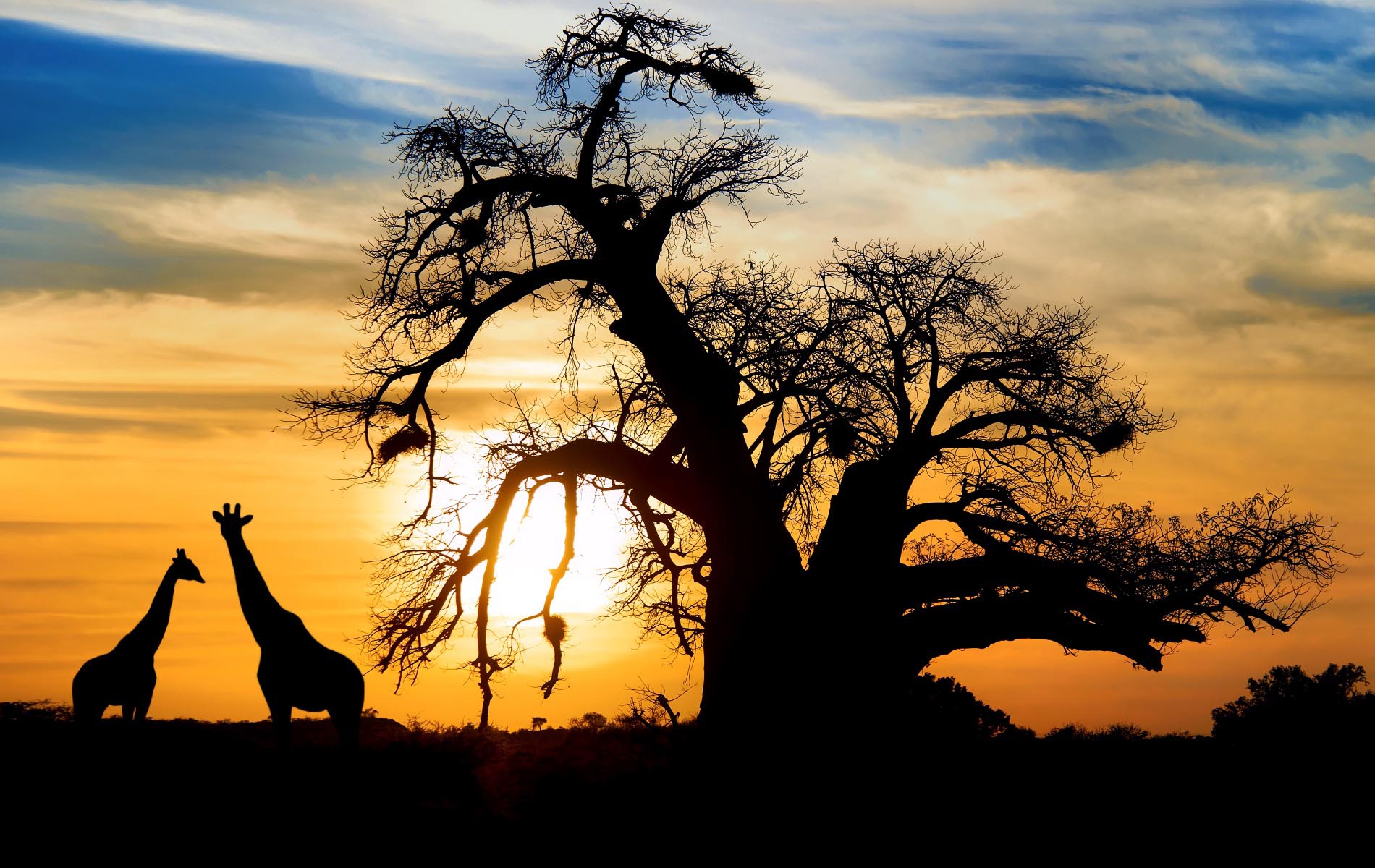 zuid_afrika_001_landsmall.jpg