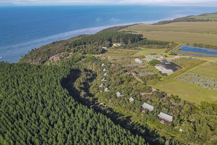 The Fernery Lodge and Spa vanuit de lucht 001.webp