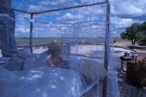 elephants eye opt out.jpg