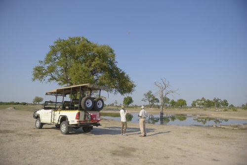 elephants eye safari.jpg