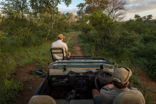 rukiya safari camp gamedrive.jpg