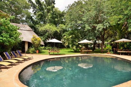 bayete guest lodge ligbedden bij zwembad.jpg
