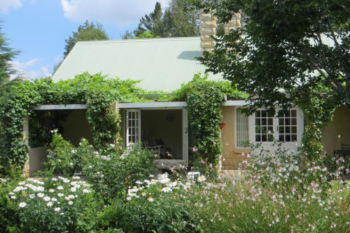millpond house tuin.png