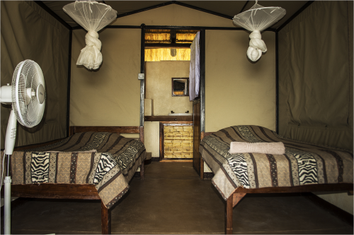 wildlife camp kamer.png