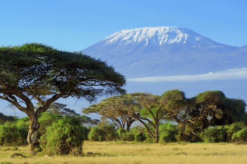 kilimanjaro 001.png