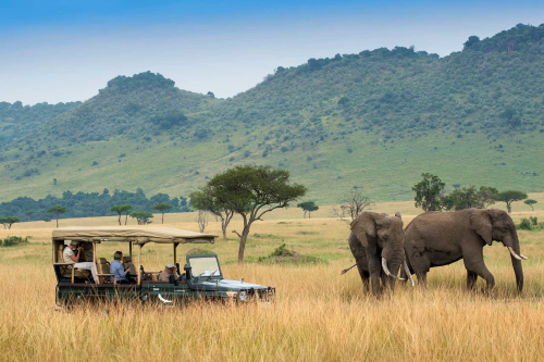 kenia masai mara 001.png