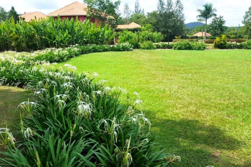 kabalega resort tuin.png