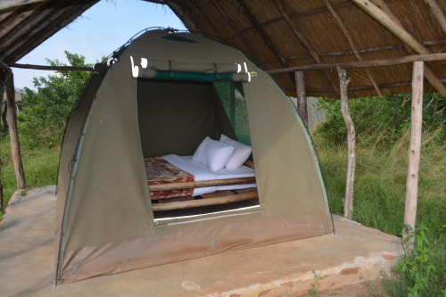 leopard rest camp tent.png