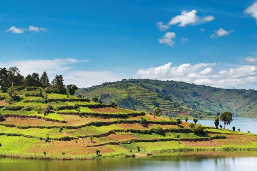 lake bunyonyi.png