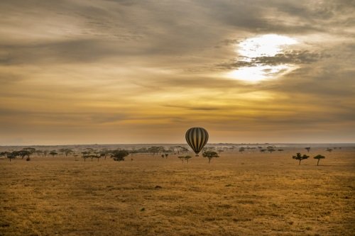 Klik op de afbeelding voor een vergroting serengeti 001.jpg