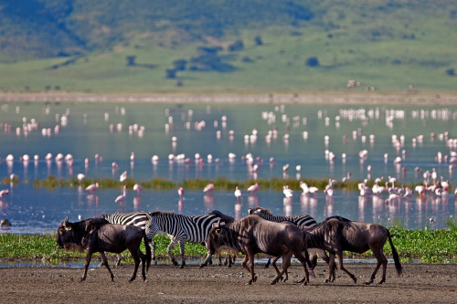 lake manyara 001.png