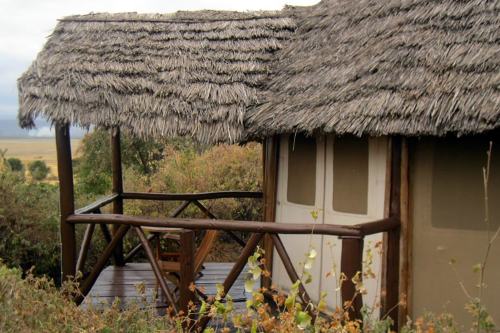 rift valley photographic lodge chalets.png
