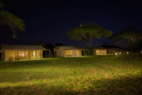 kisura serengeti camp avond.png