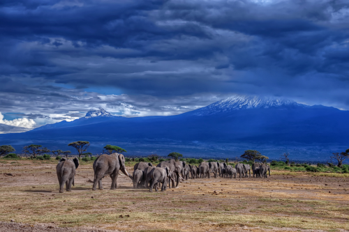 amboseli national park 002.png