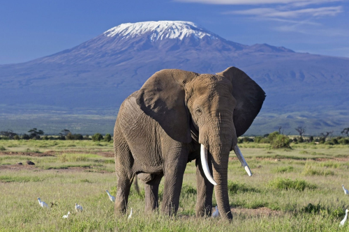 amboseli national park 003.png