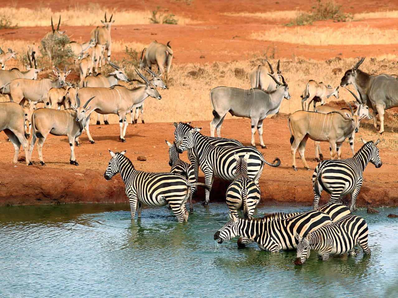 kenia 001.png