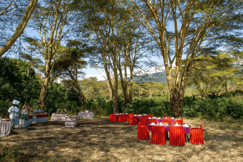 ngorongoro serena safari lodge diner in de bush.png