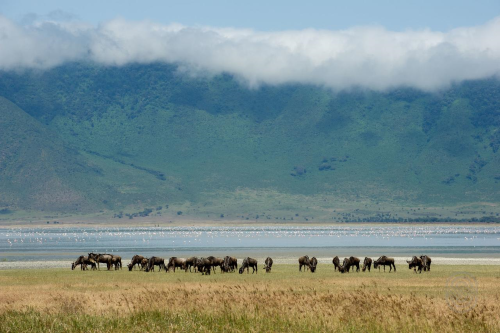 ngorongoro krater sfeer.png