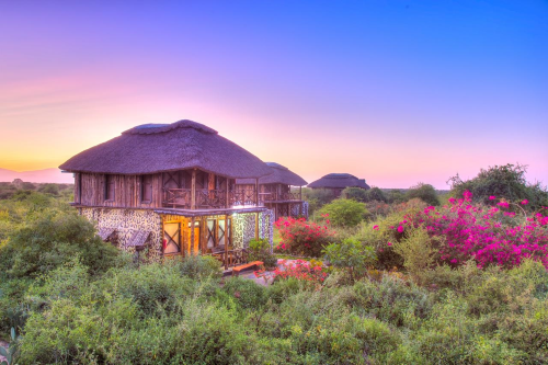 manyara wildlife safari camp chalets.png