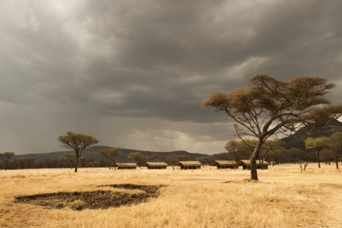 serengeti kati kati tented camp vanaf afstand.png