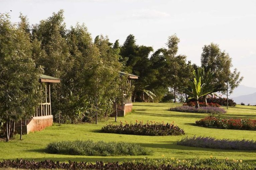 ngorongoro farmhouse tuin.png