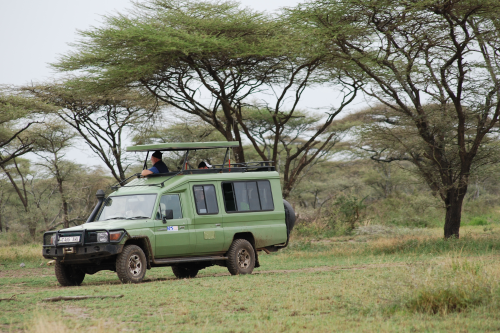 ranger safari voertuig 007.png
