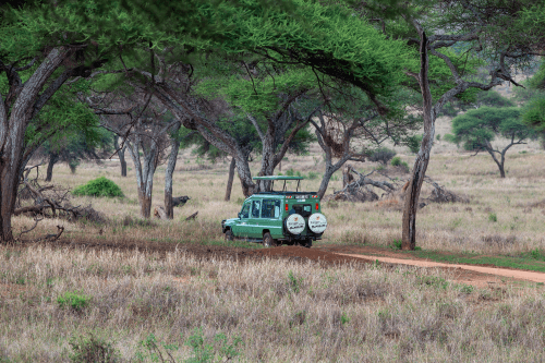 ranger safari voertuig 002.png