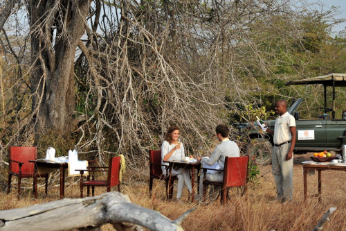 selous serena camp bush breakfast.png