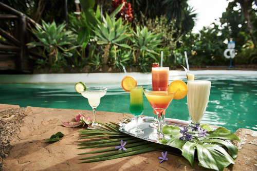 safari park hotel cocktail aan zwembad.png