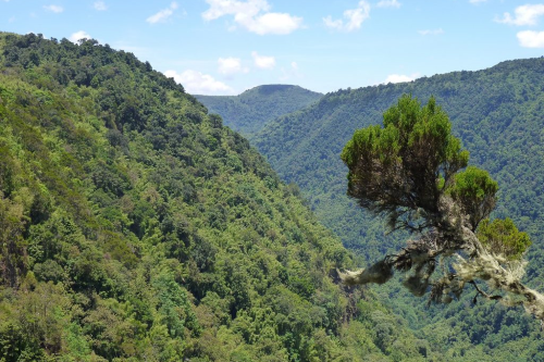 aberdare national park 002.png