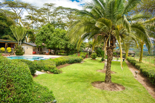 lake nakuru lodge tuin met zwembad.png