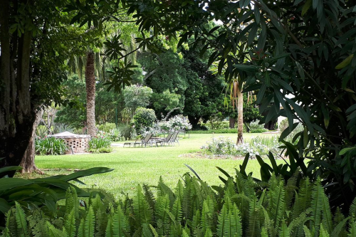 hopefield country house tuin.png