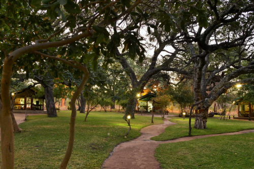 elephant valley lodge tuin met de tenten.png
