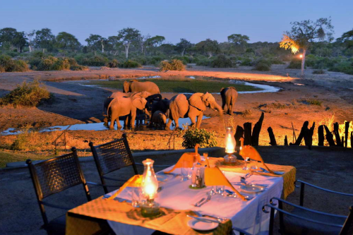 elephant valley lodge dineren uitzicht op waterdrinkplaats.png
