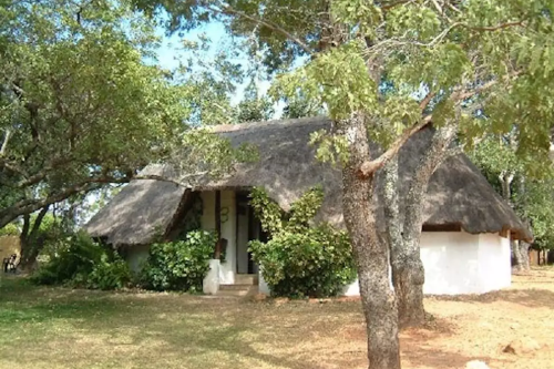 pioneer camp terrein.png