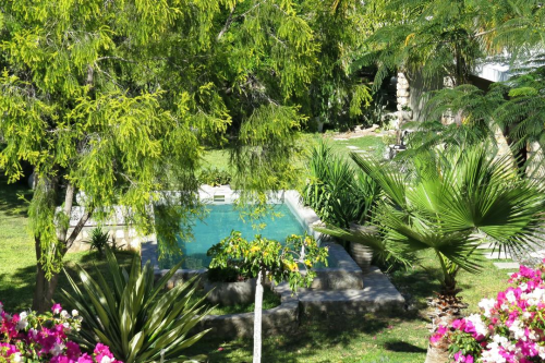 tarentaal guest farm tuin met zwembad.png