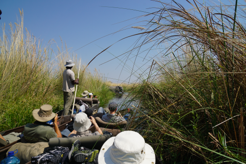 okavango delta sfeer 011.png