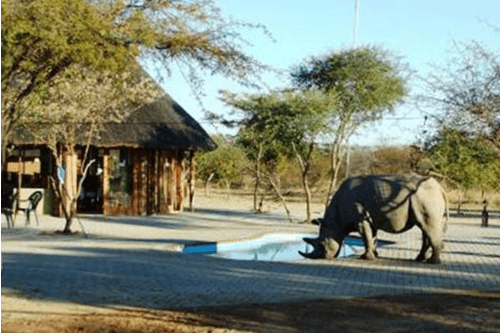 khama rhino sanctuary 003.png