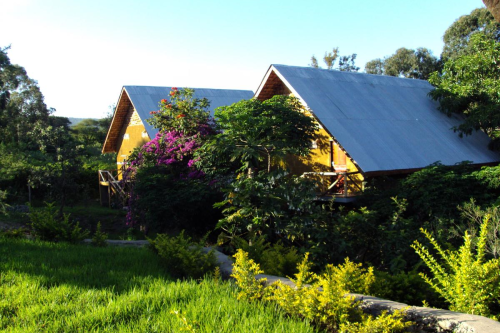 meru mbega lodge huisjes.png