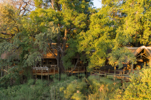 camp moremi restaurant.png