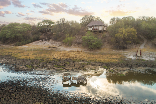 leroo la tau zebra in rivier.png