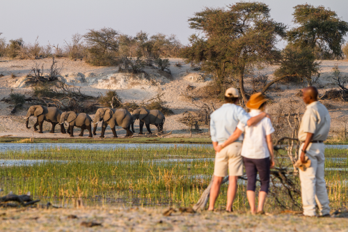 boteti-river-sundowners-4281.png