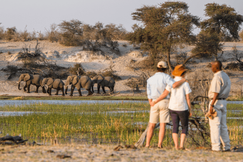 Klik op de afbeelding voor een vergroting boteti-river-sundowners-4281.png