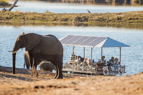 Klik op de afbeelding voor een vergroting chobe game lodge - river safari-03.png