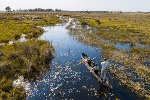 Klik op de afbeelding voor een vergroting okavango delta - mokoro activity-37.png